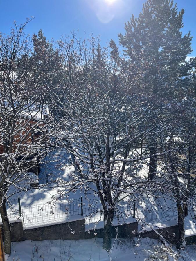 Chalet Isard Pyrenees 2000 - 300M Des Pistes Bolquere Pyrenees 2000 エクステリア 写真