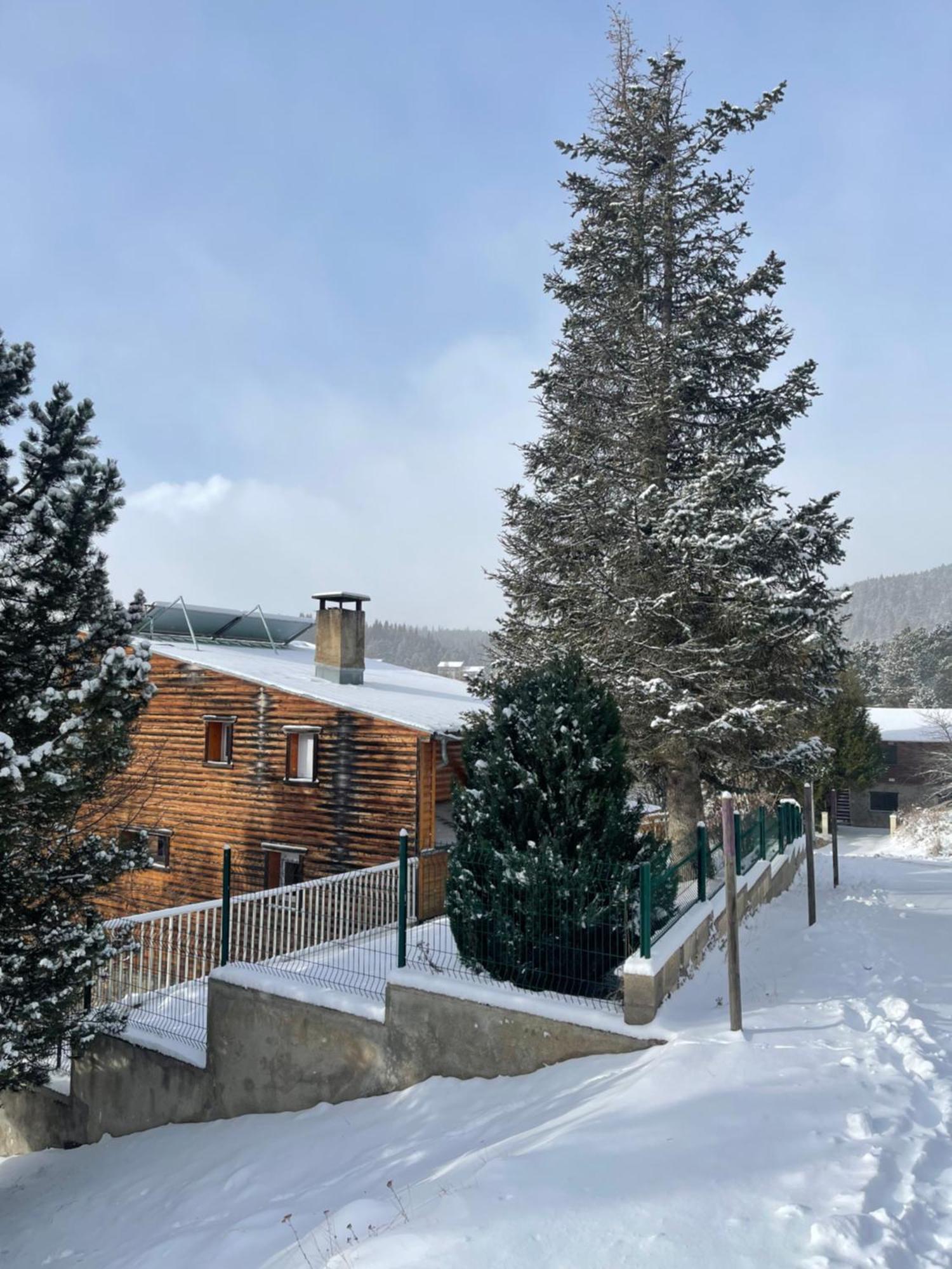 Chalet Isard Pyrenees 2000 - 300M Des Pistes Bolquere Pyrenees 2000 エクステリア 写真